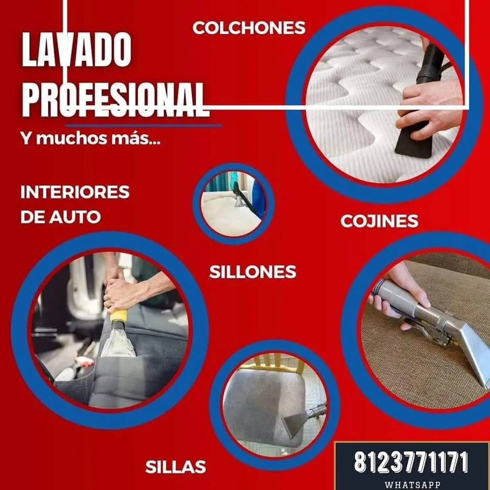 Muestra de lavado profesional de interiores de automóvil